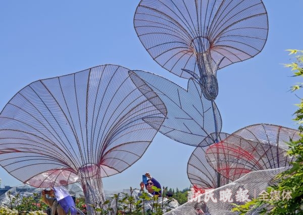 探秘上海（国际）花展长三角展区：“名画与花境”的背后是绿色低碳与科技的魅力(图13)
